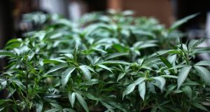 Two proposals for retail marijuana in Virginia voted down